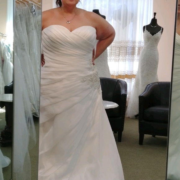 Meet your Posher, Donna - Picture 4 of 7